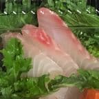 Best Red Snapper in Butler, NJ