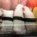 Best Octopus (Tako) in Butler, NJ